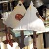 Poules décoratives
